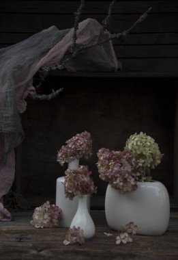 Natürmort ile ortancaları koyu arka plan üzerinde beyaz vazo ile