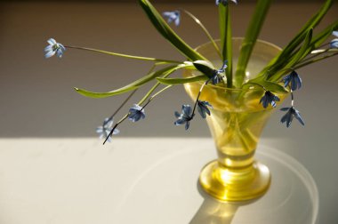 Sarı mavi çiçekli vazo 