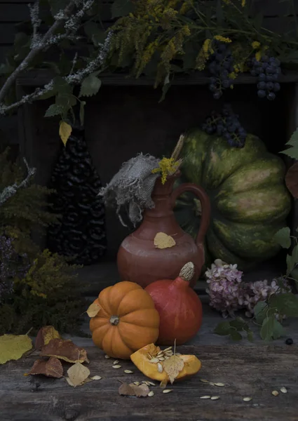 Composition of different pumpkins and plant branches