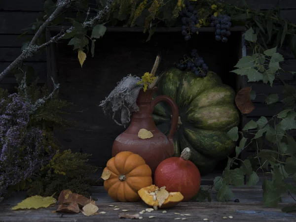 Composition of different pumpkins and plant branches