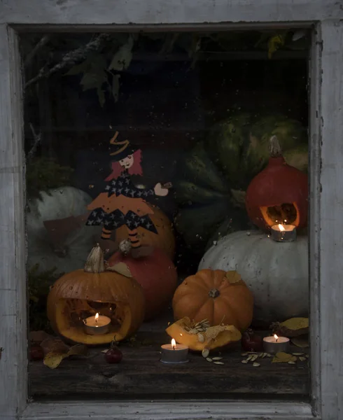 Composition Avec Des Citrouilles Comme Décoration Halloween — Photo