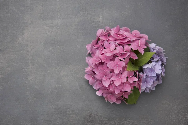 Pink and violet bouquet of hydrangea flowers on grey surface background