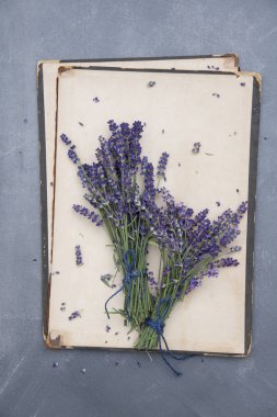 Kitabın vintage kapağında lavanta çiçek demetleri