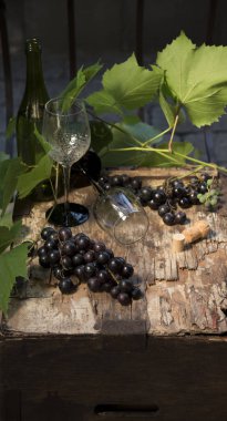 İki gözlük ve ahşap arka plan üzerinde üzüm şarap