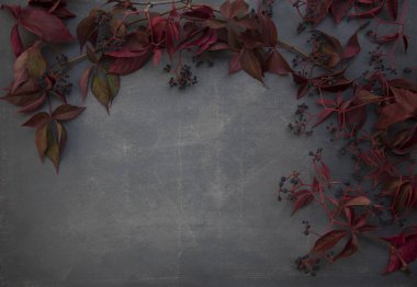 Gri arka plan üzerinde renkli yaprakları ile çiçek desenli