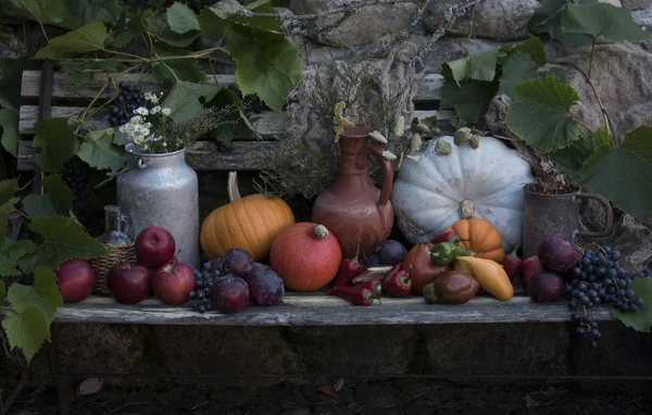 Autumnal Harvest Different Fruits Vegetables — Stock Photo, Image