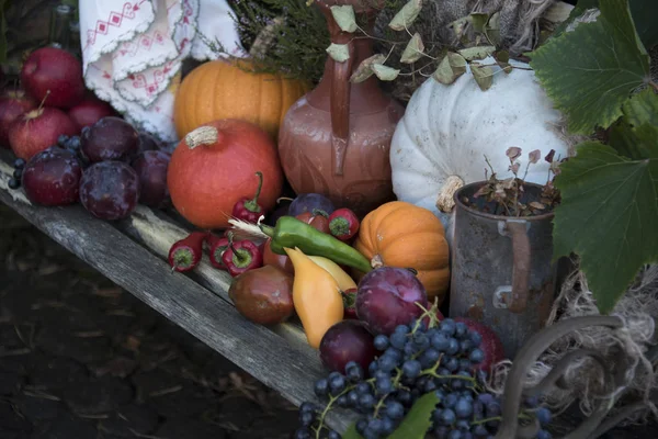 Récolte Automnale Avec Différents Fruits Légumes — Photo