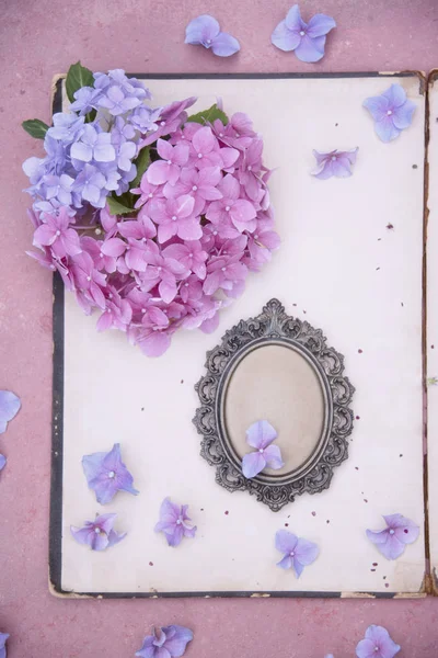 Libro Vintage Flores Hortensia Sobre Fondo Pastel — Foto de Stock