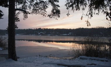 Göl ve ormanlı kış manzarası