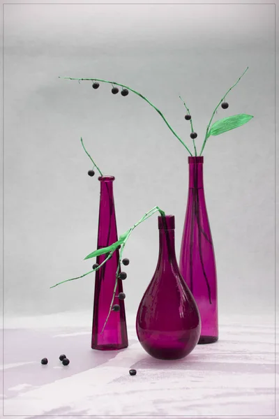 关闭干植物小枝在不同的紫色花瓶在白色背景 — 图库照片