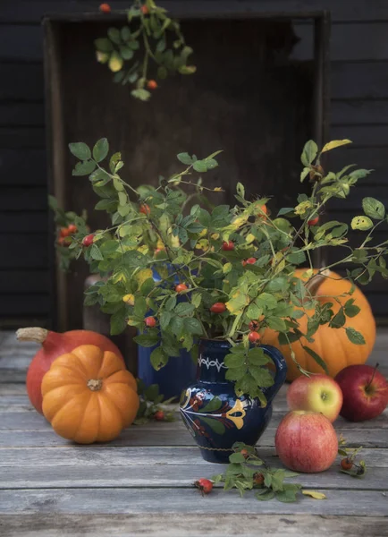Herbsternte Mit Kürbissen — Stockfoto
