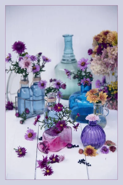 Composición Flores Colores Diferentes Jarrones Vidrio — Foto de Stock