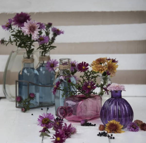 Komposition Aus Bunten Blumen Verschiedenen Glasvasen — Stockfoto