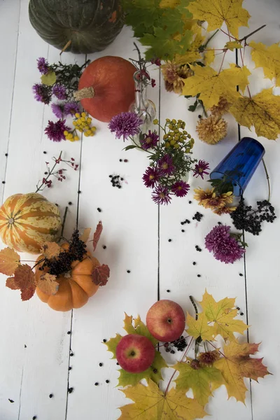 Composition Fleurs Colorées Citrouilles Feuilles Érable Sur Fond Bois Blanc — Photo