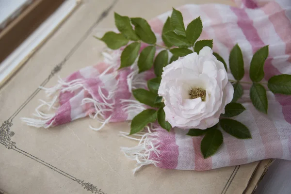 Nahaufnahme Von Weißer Rose Auf Rosa Schal Und Altem Buch — Stockfoto
