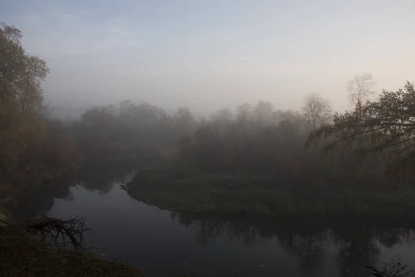 View Misty Lake Forest Autumn Season — Stock Photo, Image