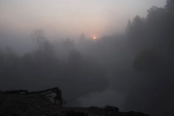 View Misty Lake Forest Autumn Season — Stock Photo, Image