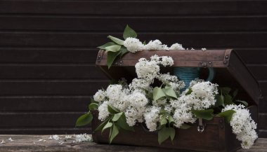 Yaşlı göğüs tahta sandalyede koyu arka plan üzerinde beyaz leylak çiçekler