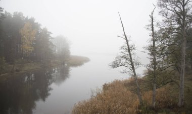 Sisli göl ve orman sonbahar sezonu görünümü