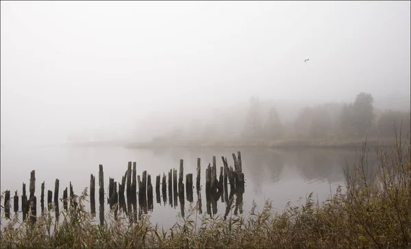 View Wooden Sticks Lake Fog Water — Stock Photo, Image