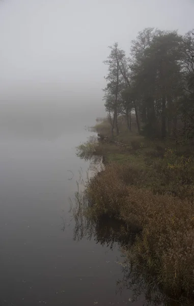 View Misty Lake Forest Autumn Season — Stock Photo, Image