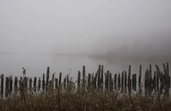 View Wooden Sticks Lake Fog Water — Stock Photo, Image