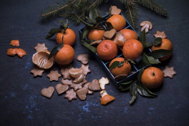 Noel kompozisyon mandalina, gingerbread çerezleri ve köknar dalı