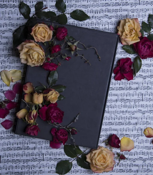 Composición Rosas Coloridas Flores Libro Sobre Fondo Notas — Foto de Stock