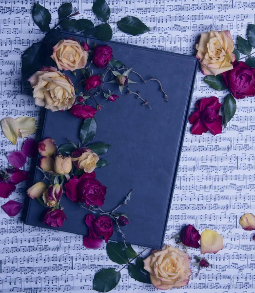 composition of colorful roses flowers and book on notes background