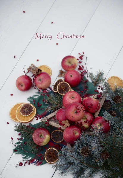 Merry Christmas Card Sjabloon Met Spar Takken Appels Bessen Stukjes — Stockfoto