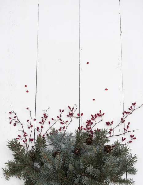 Joyeux Modèle Carte Noël Avec Branches Sapin Baies Cônes — Photo