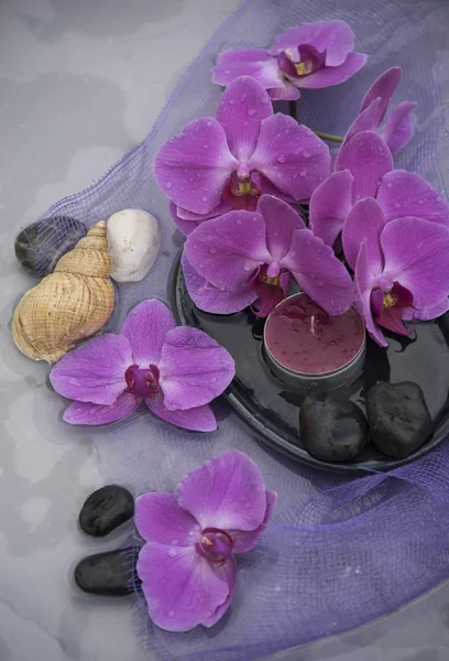 Samenstelling Van Spa Met Orchideeën Bloemen — Stockfoto