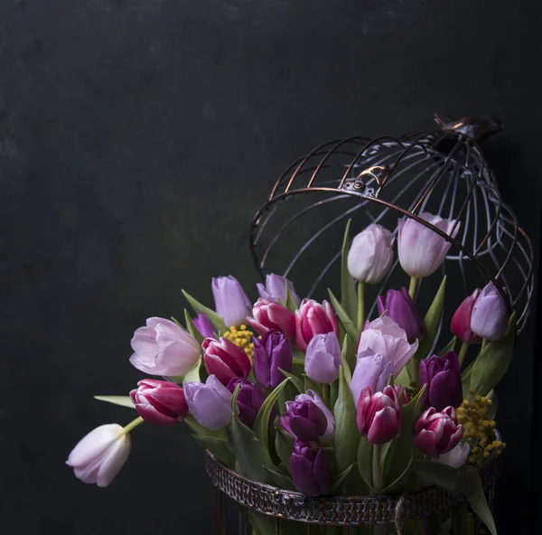 화려한 튤립의 꽃다발 — 스톡 사진