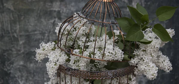 Fleurs Lilas Dans Maison Oiseaux Vintage Comme Fond — Photo