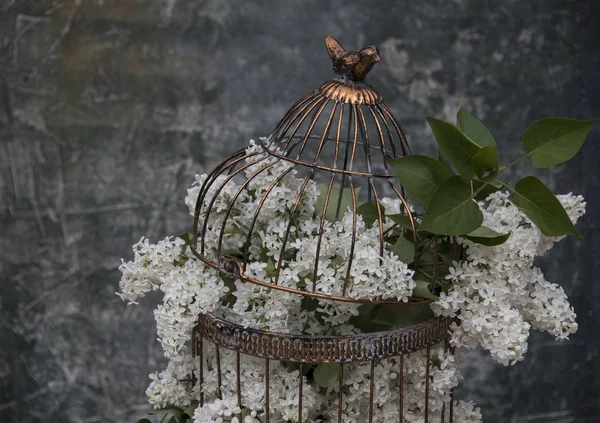 Fleurs Lilas Dans Maison Oiseaux Vintage Comme Fond — Photo