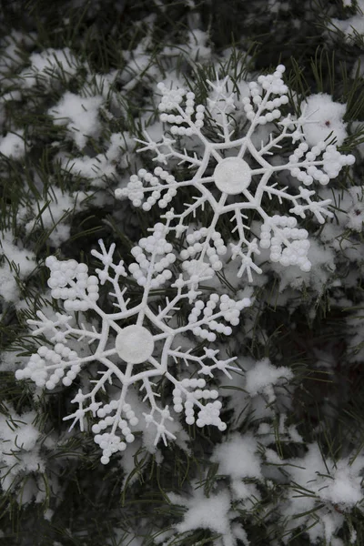 圣诞快乐的贺卡模板与雪花 — 图库照片