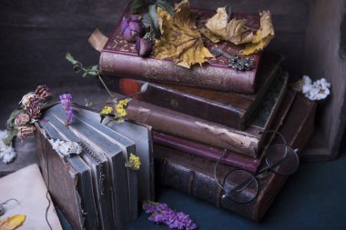 vintage gözlük ve çiçekler ile kitap kompozisyon