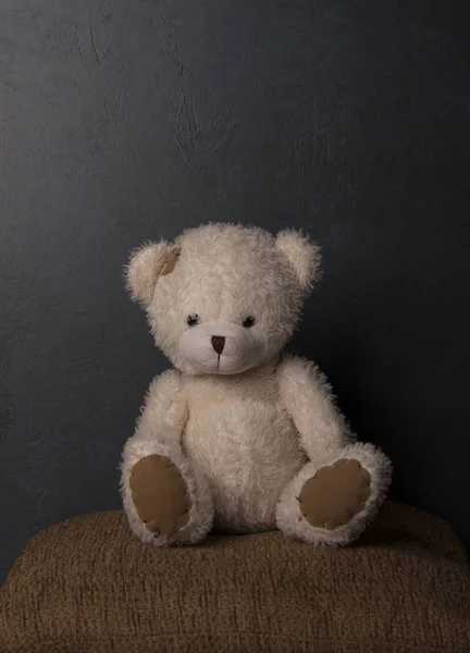 Teddybär Sitzt Auf Braunem Kissen Auf Grauem Hintergrund — Stockfoto