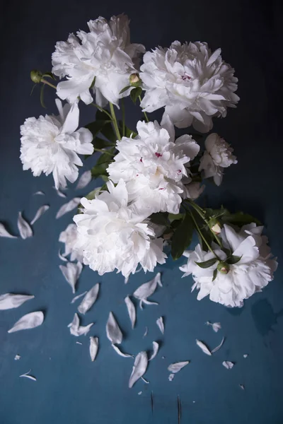 白色牡丹花花束特写 — 图库照片