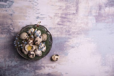 Mutlu paskalya kartı şablonu bıldırcın yumurtası plaka ile çiçek dalları ile dekore edilmiştir. 