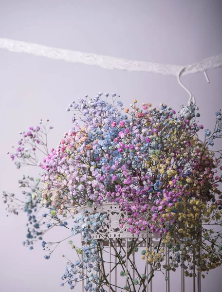 colorful dried flowers hanging on white background