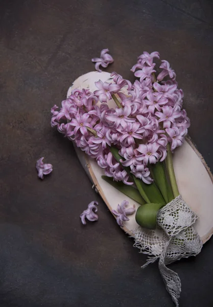 Composición Flores Jacinto Sobre Fondo Gris — Foto de Stock