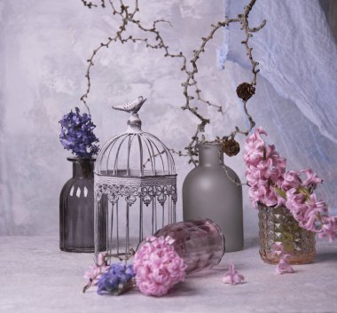 Sümbül çiçek kuru ağaç dalları arka plan üzerinde Kapat