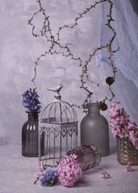 Sümbül çiçek kuru ağaç dalları arka plan üzerinde Kapat