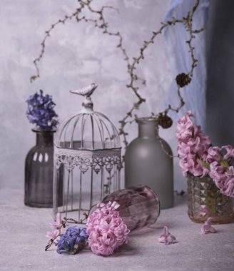 Sümbül çiçek kuru ağaç dalları arka plan üzerinde Kapat