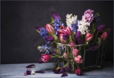 farklı bahar çiçekleri koyu arka plan üzerinde metal sepet içinde kompozisyon  