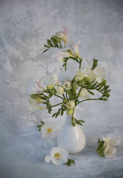 Gros Plan Bouquet Fleurs Blanches Sur Fond Gris — Photo