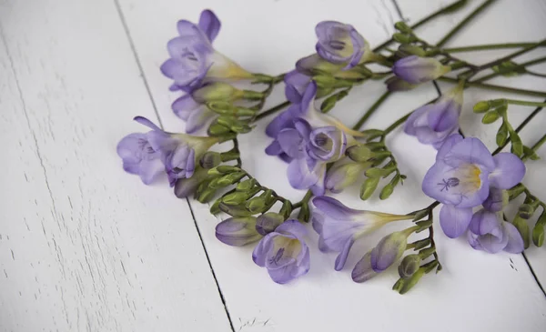 Gros Plan Fleurs Violettes Fraîches Sur Fond Bois — Photo