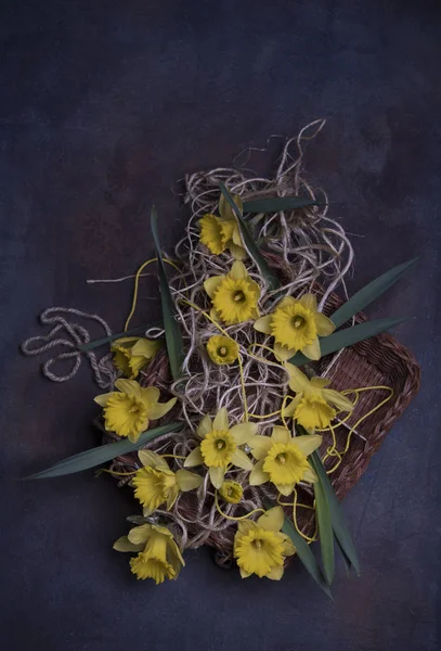 Composición Con Flores Narcisas Amarillas Frescas Concepto Primavera — Foto de Stock
