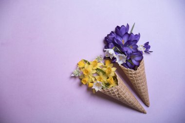 Gözleme koniler ışık arka plan üzerinde renkli çiçekler 